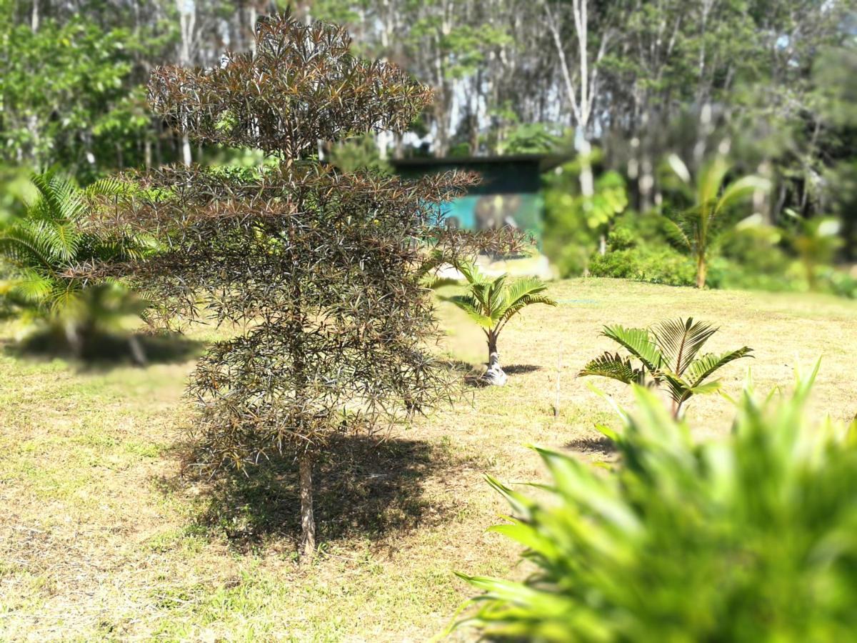 Palm Garden House Apartment Koh Lanta Ngoại thất bức ảnh