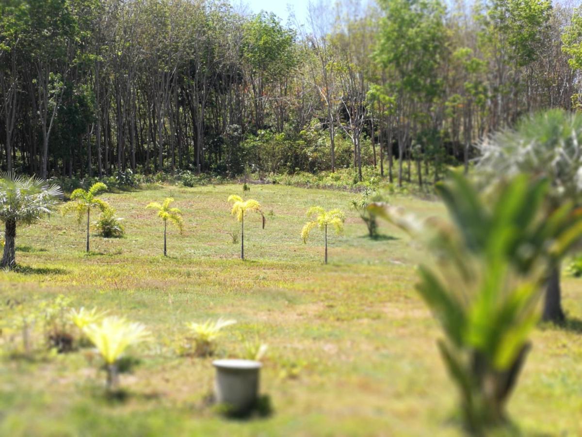 Palm Garden House Apartment Koh Lanta Ngoại thất bức ảnh
